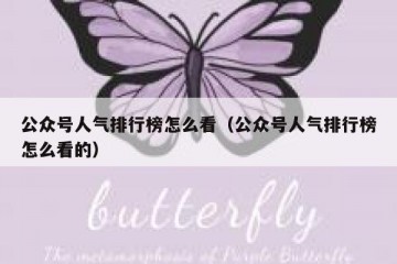 公众号人气排行榜怎么看（公众号人气排行榜怎么看的）