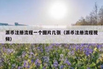 派币注册流程一个图片几张（派币注册流程视频）