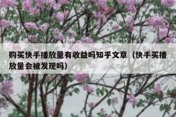 购买快手播放量有收益吗知乎文章（快手买播放量会被发现吗）