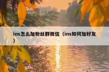 ins怎么加粉丝群微信（ins如何加好友）