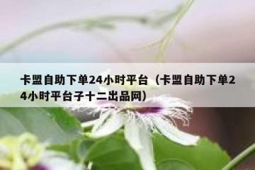 卡盟自助下单24小时平台（卡盟自助下单24小时平台子十二出品网）