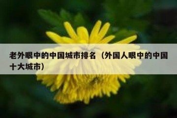 老外眼中的中国城市排名（外国人眼中的中国十大城市）