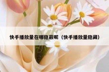 快手播放量在哪隐蔽呢（快手播放量隐藏）