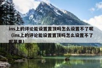 ins上的评论能设置置顶吗怎么设置不了呢（ins上的评论能设置置顶吗怎么设置不了呢苹果）