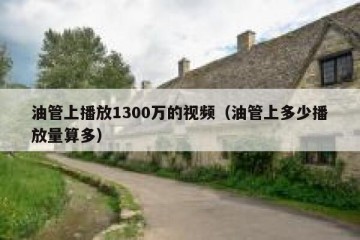 油管上播放1300万的视频（油管上多少播放量算多）