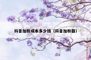 抖音加粉成本多少钱（抖音加粉器）
