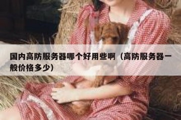 国内高防服务器哪个好用些啊（高防服务器一般价格多少）
