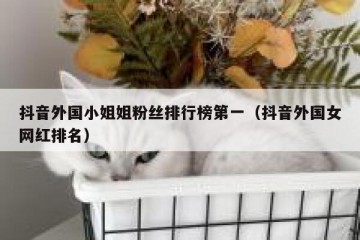 抖音外国小姐姐粉丝排行榜第一（抖音外国女网红排名）