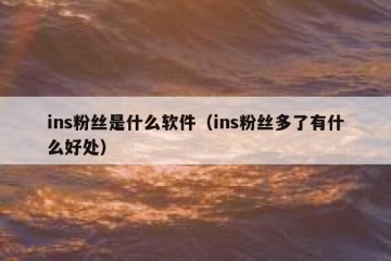 ins粉丝是什么软件（ins粉丝多了有什么好处）