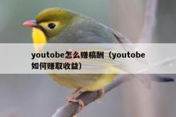 youtobe怎么赚稿酬（youtobe如何赚取收益）