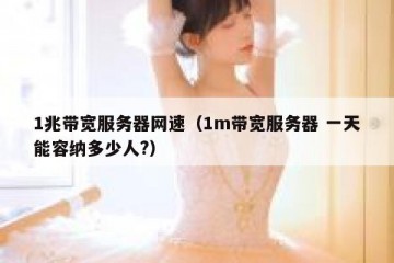 1兆带宽服务器网速（1m带宽服务器 一天能容纳多少人?）