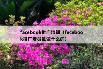 facebook推广培训（facebook推广专员是做什么的）
