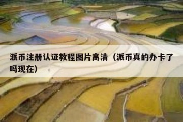 派币注册认证教程图片高清（派币真的办卡了吗现在）