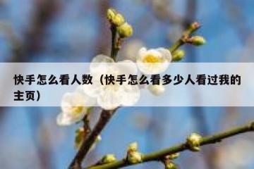 快手怎么看人数（快手怎么看多少人看过我的主页）