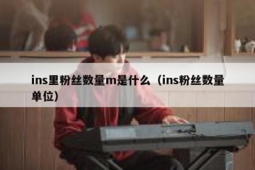 ins里粉丝数量m是什么（ins粉丝数量单位）