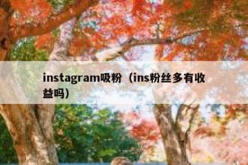 instagram吸粉（ins粉丝多有收益吗）
