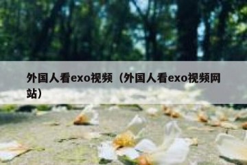 外国人看exo视频（外国人看exo视频网站）
