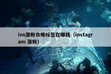 ins涨粉攻略标签在哪找（instagram 涨粉）