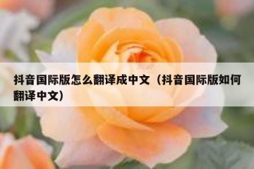 抖音国际版怎么翻译成中文（抖音国际版如何翻译中文）