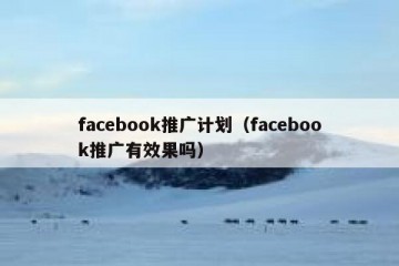 facebook推广计划（facebook推广有效果吗）