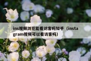 ins视频浏览能看访客吗知乎（instagram视频可以看访客吗）