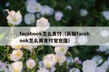 facebook怎么支付（新版facebook怎么用支付宝充值）