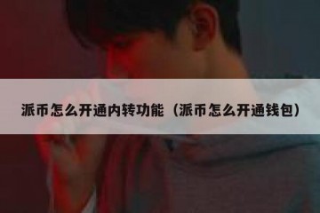 派币怎么开通内转功能（派币怎么开通钱包）