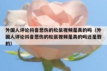 外国人评论抖音悲伤的松鼠视频是真的吗（外国人评论抖音悲伤的松鼠视频是真的吗还是假的）