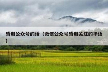 感谢公众号的话（微信公众号感谢关注的华语）