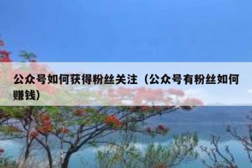 公众号如何获得粉丝关注（公众号有粉丝如何赚钱）