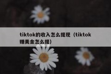 tiktok的收入怎么提现（tiktok赚美金怎么提）