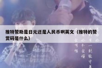 推特赞助是日元还是人民币啊英文（推特的赞赏码是什么）