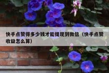 快手点赞得多少钱才能提现到微信（快手点赞收益怎么算）