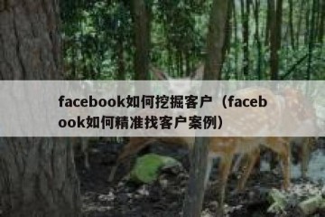 facebook如何挖掘客户（facebook如何精准找客户案例）
