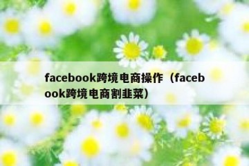 facebook跨境电商操作（facebook跨境电商割韭菜）