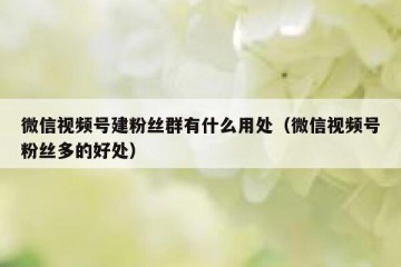 微信视频号建粉丝群有什么用处（微信视频号粉丝多的好处）