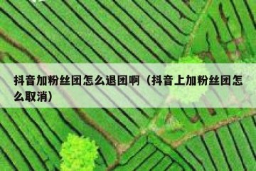 抖音加粉丝团怎么退团啊（抖音上加粉丝团怎么取消）