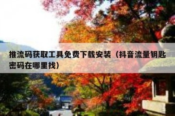 推流码获取工具免费下载安装（抖音流量钥匙密码在哪里找）
