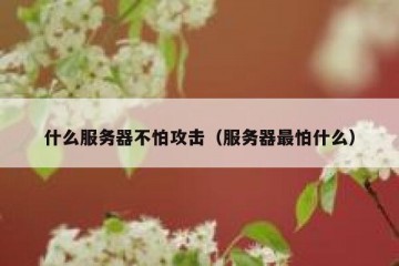 什么服务器不怕攻击（服务器最怕什么）