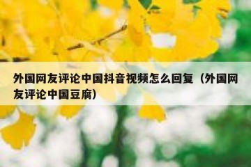 外国网友评论中国抖音视频怎么回复（外国网友评论中国豆腐）