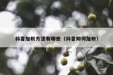 抖音加粉方法有哪些（抖音如何加粉）