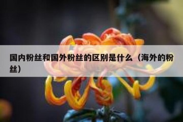 国内粉丝和国外粉丝的区别是什么（海外的粉丝）