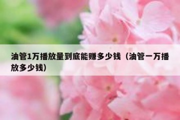 油管1万播放量到底能赚多少钱（油管一万播放多少钱）