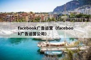 facebook广告运营（facebook广告运营公司）