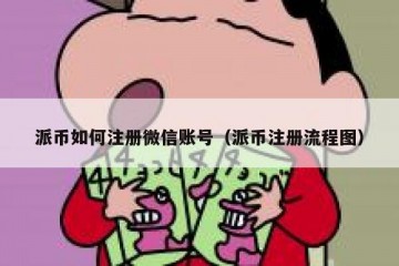 派币如何注册微信账号（派币注册流程图）