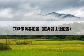 顶级服务器配置（服务器主流配置）