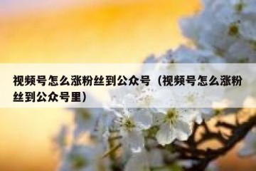 视频号怎么涨粉丝到公众号（视频号怎么涨粉丝到公众号里）
