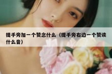 提手旁加一个赞念什么（提手旁右边一个赞读什么音）
