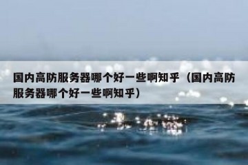国内高防服务器哪个好一些啊知乎（国内高防服务器哪个好一些啊知乎）