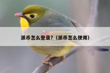 派币怎么登录?（派币怎么使用）